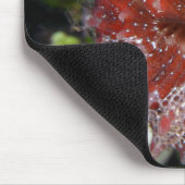 Pony-Frau Begur des Seepferd-| Mousepad (Ecke)