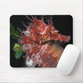 Pony-Frau Begur des Seepferd-| Mousepad (Mit Mouse)