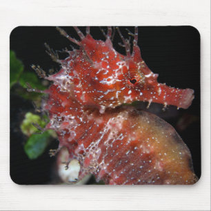 Pony-Frau Begur des Seepferd- Mousepad