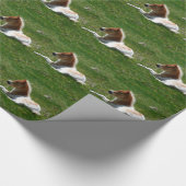 Pony Geschenkpapier (Ecke)