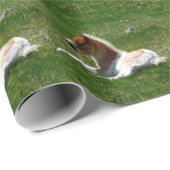 Pony Geschenkpapier (Rolleneckpunkt)