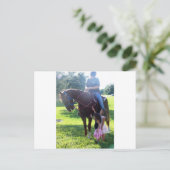 Pony Girls Postkarte (Stehend Vorderseite)