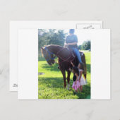 Pony Girls Postkarte (Vorne/Hinten)