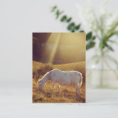 Pony grast postkarte (Stehend Vorderseite)