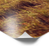 Pony Grazing Fotodruck (Ecke)