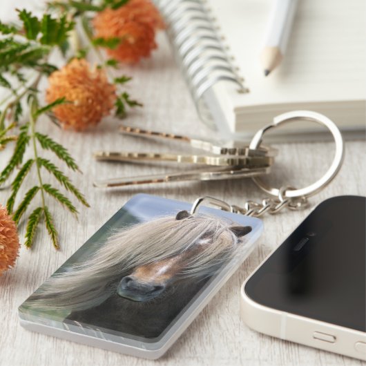 Pony Großbritanniens, Schottland, Shetland-Inseln, Schlüsselanhänger (Vorderseite rechts)