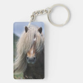 Pony Großbritanniens, Schottland, Shetland-Inseln, Schlüsselanhänger (Rückseite)