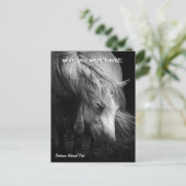 Pony Head and Mane Postkarte für Fine Art Pony (Stehend Vorderseite)