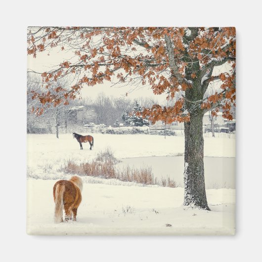 Pony im Schnee mit Baummagnet Magnet (Vorne)