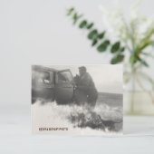 Pony in Car Postcard Postkarte (Stehend Vorderseite)