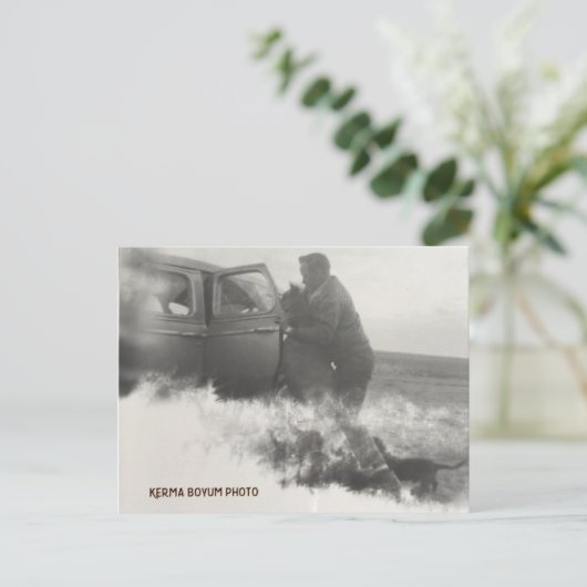 Pony in Car Postcard Postkarte (Stehend Vorderseite)