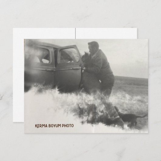 Pony in Car Postcard Postkarte (Vorne/Hinten)