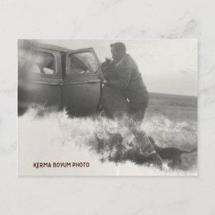 Pony in Car Postcard Postkarte