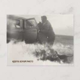 Pony in Car Postcard Postkarte