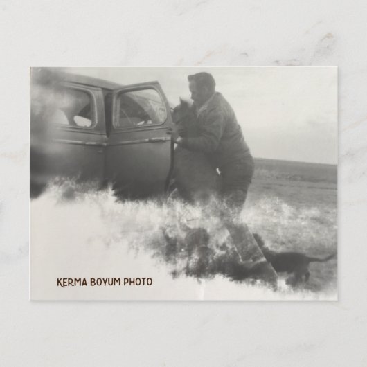 Pony in Car Postcard Postkarte (Vorderseite)