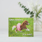 Pony in Tutu Einladungspostkarte (Stehend Vorderseite)