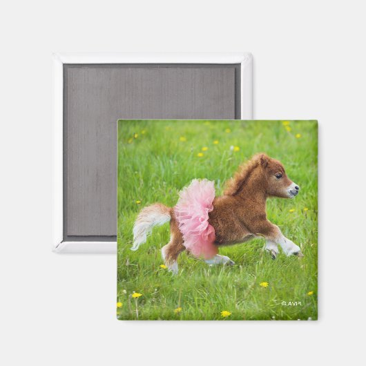 Pony in Tutu Magnet (Vorderseite/Rückseite)