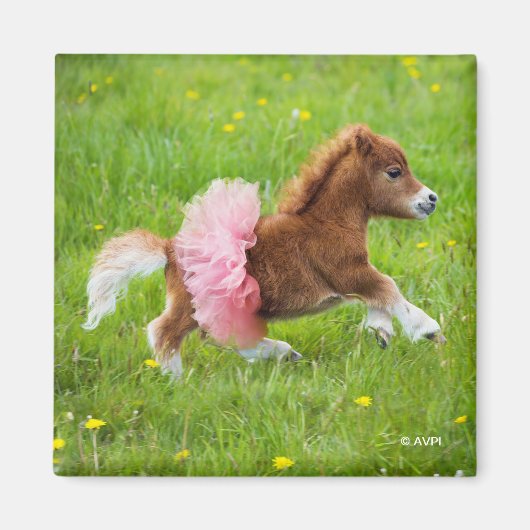 Pony in Tutu Magnet (Vorne)