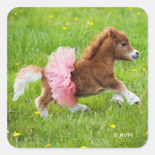 Pony in Tutu Quadratischer Aufkleber (Vorderseite)