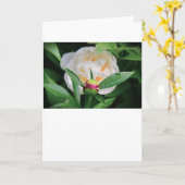 Pony, Karte (Gelbe Blume)