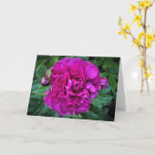 Pony, Karte (Gelbe Blume)