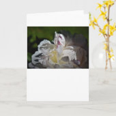 Pony, Karte (Gelbe Blume)