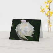 Pony, Karte (Gelbe Blume)