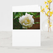 Pony, Karte (Gelbe Blume)