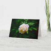 Pony, Karte (Vorderseite)