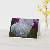 Pony, Karte (Gelbe Blume)