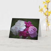 Pony, Karte (Gelbe Blume)