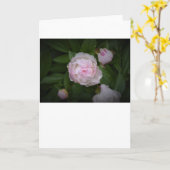 Pony, Karte (Gelbe Blume)