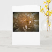 Pony, Karte (Gelbe Blume)