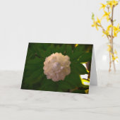 Pony, Karte (Gelbe Blume)