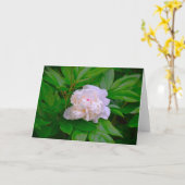 Pony, Karte (Gelbe Blume)