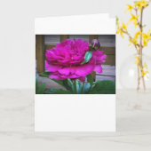 Pony, Karte (Gelbe Blume)