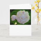 Pony, Karte (Gelbe Blume)