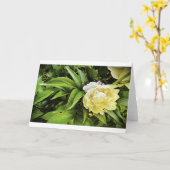 Pony, Karte (Gelbe Blume)