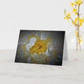 Pony, Karte (Gelbe Blume)