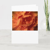 Pony, Karte (Vorderseite)