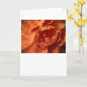 Pony, Karte (Gelbe Blume)