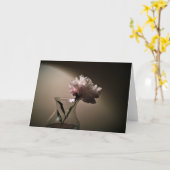 Pony, Karte (Gelbe Blume)