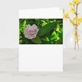 Pony, Karte (Gelbe Blume)