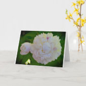 Pony, Karte (Gelbe Blume)