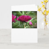 Pony, Karte (Gelbe Blume)