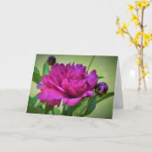 Pony, Karte (Gelbe Blume)