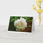 Pony, Karte (Gelbe Blume)