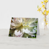 Pony, Karte (Gelbe Blume)