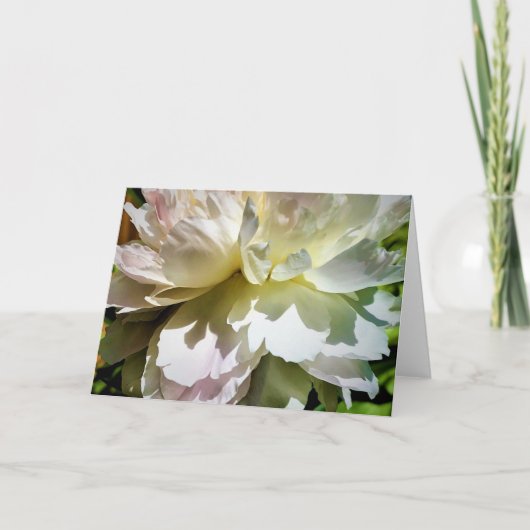 Pony, Karte (Vorderseite)