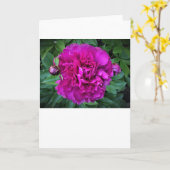 Pony, Karte (Gelbe Blume)